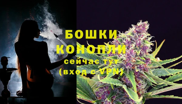 крисы Семикаракорск