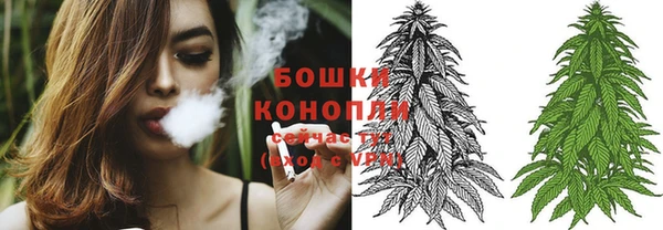 крисы Семикаракорск