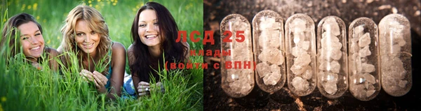 крисы Семикаракорск