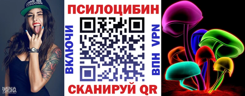 Псилоцибиновые грибы Cubensis Спасск-Рязанский