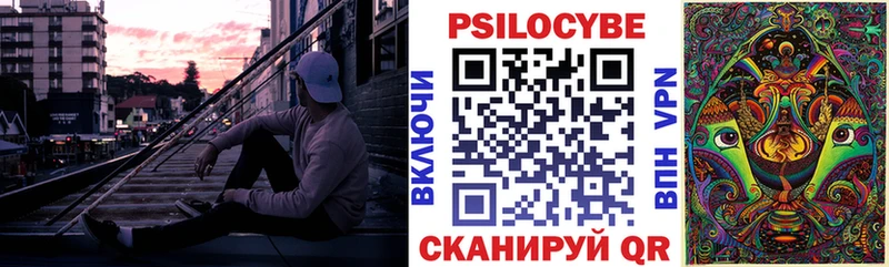 ссылка на мегу онион  Спасск-Рязанский  Псилоцибиновые грибы Cubensis  что такое наркотик 
